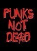 punksnotdead.jpg
